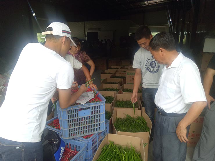 腾博会官网 - 诚信为本,专业服务!