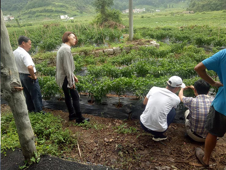 腾博会官网 - 诚信为本,专业服务!