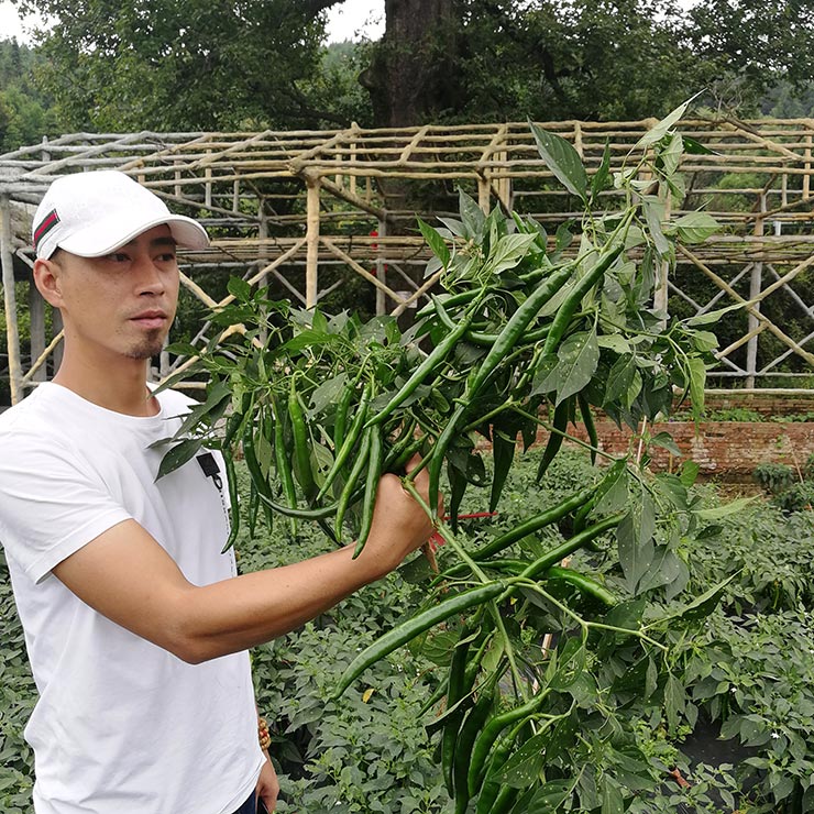 腾博会官网 - 诚信为本,专业服务!