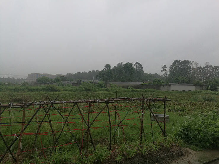 腾博会官网 - 诚信为本,专业服务!