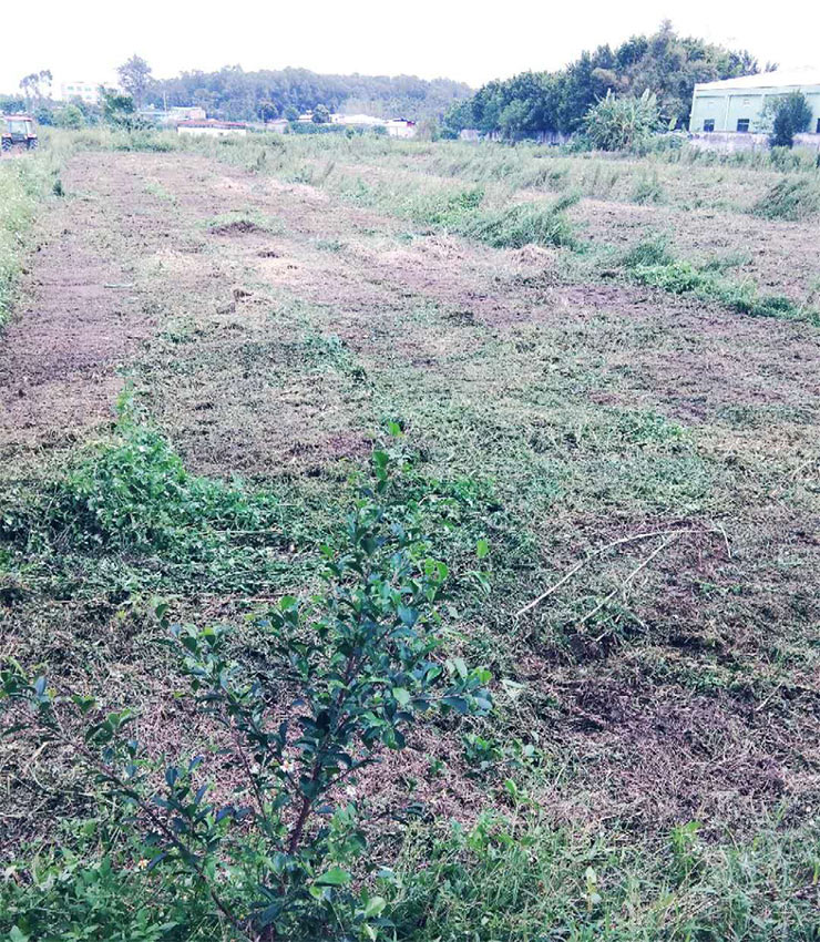 腾博会官网 - 诚信为本,专业服务!