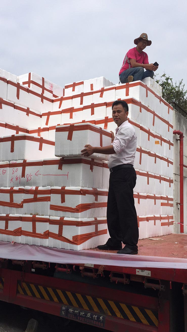 腾博会官网 - 诚信为本,专业服务!