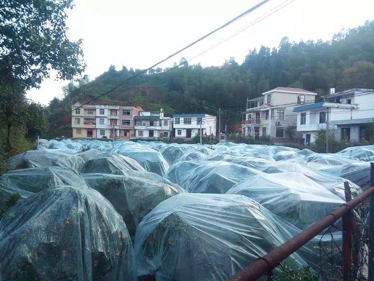 腾博会官网 - 诚信为本,专业服务!