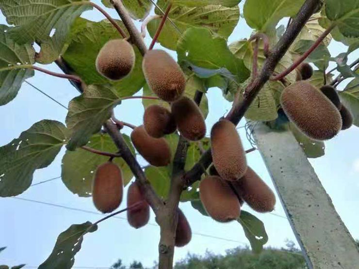 腾博会官网 - 诚信为本,专业服务!