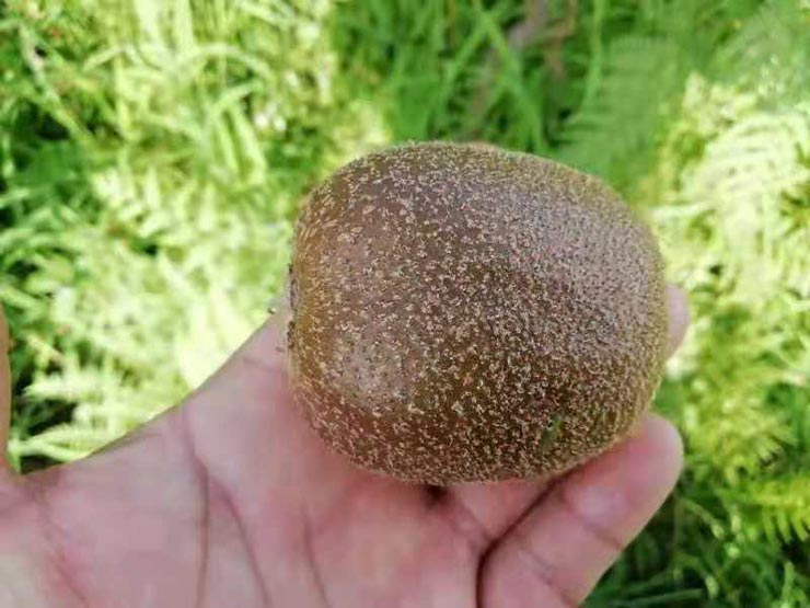 腾博会官网 - 诚信为本,专业服务!