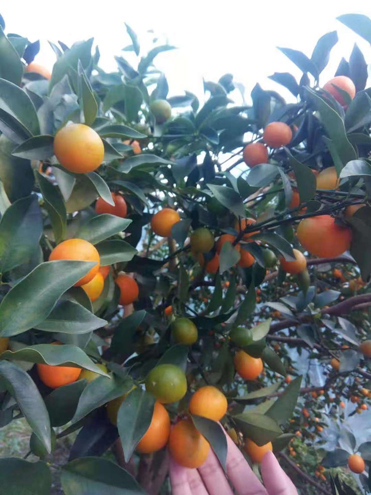 腾博会官网 - 诚信为本,专业服务!