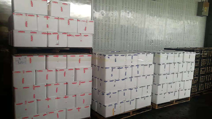 腾博会官网 - 诚信为本,专业服务!