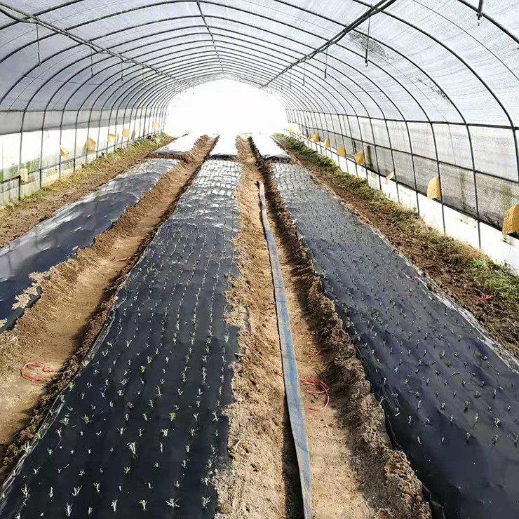 腾博会官网 - 诚信为本,专业服务!