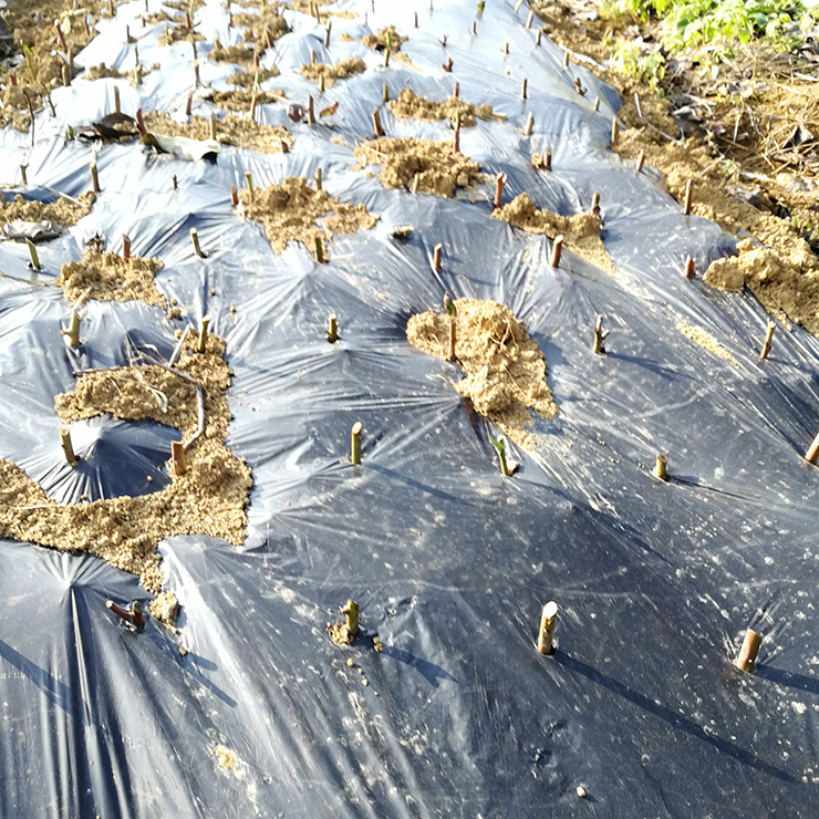 腾博会官网 - 诚信为本,专业服务!