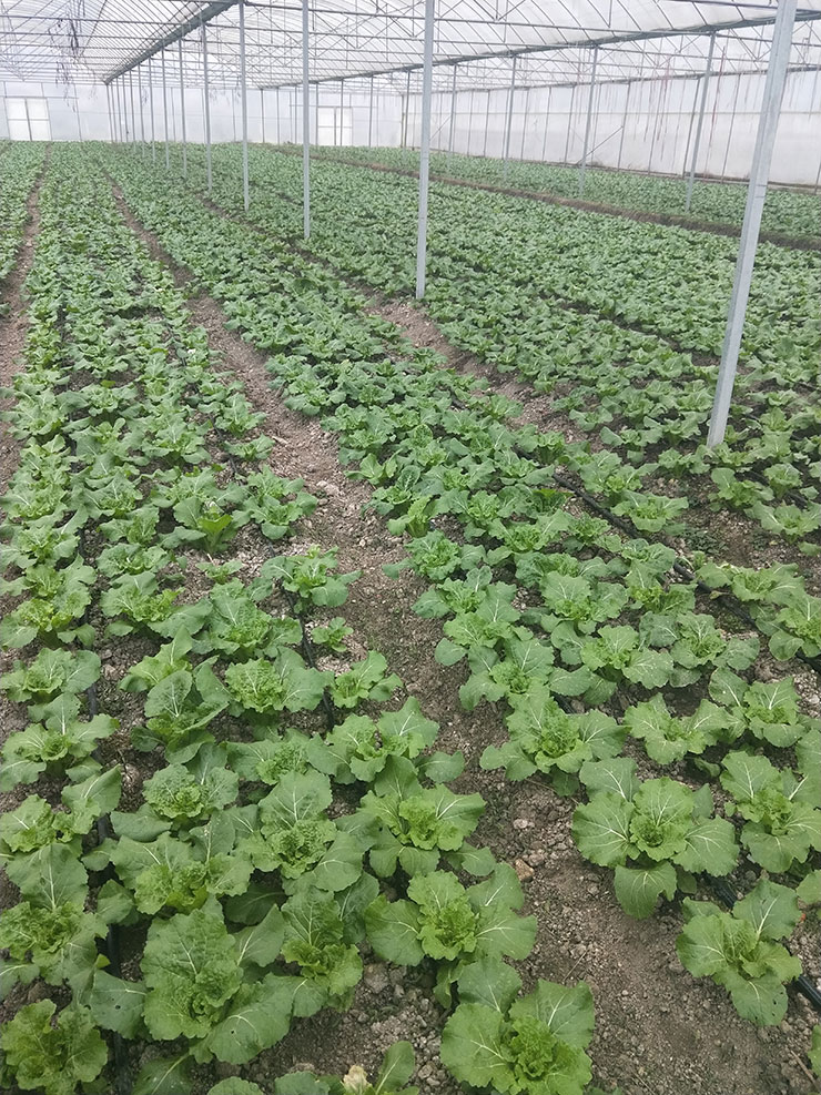 腾博会官网 - 诚信为本,专业服务!