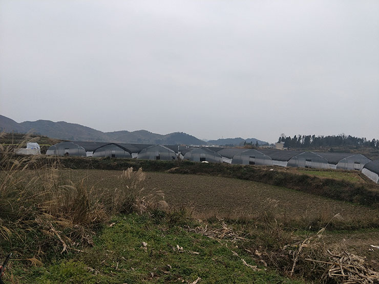 腾博会官网 - 诚信为本,专业服务!