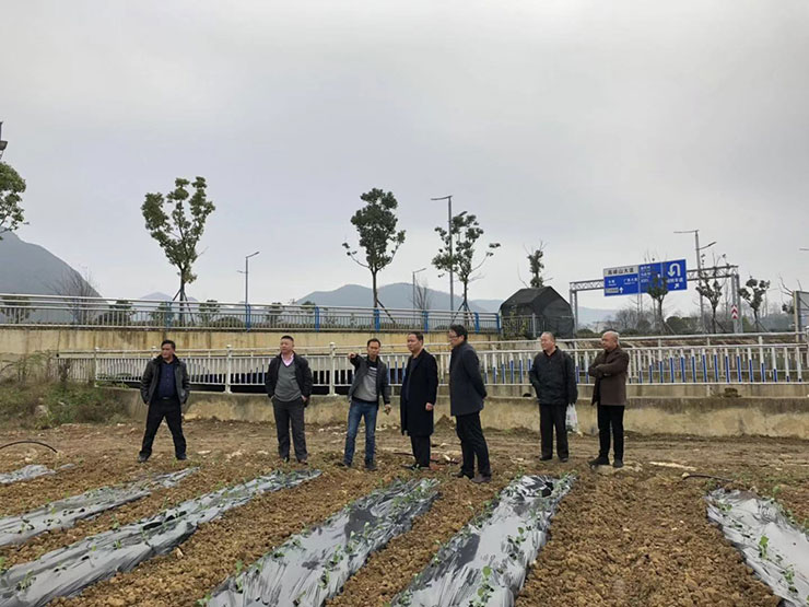 腾博会官网 - 诚信为本,专业服务!