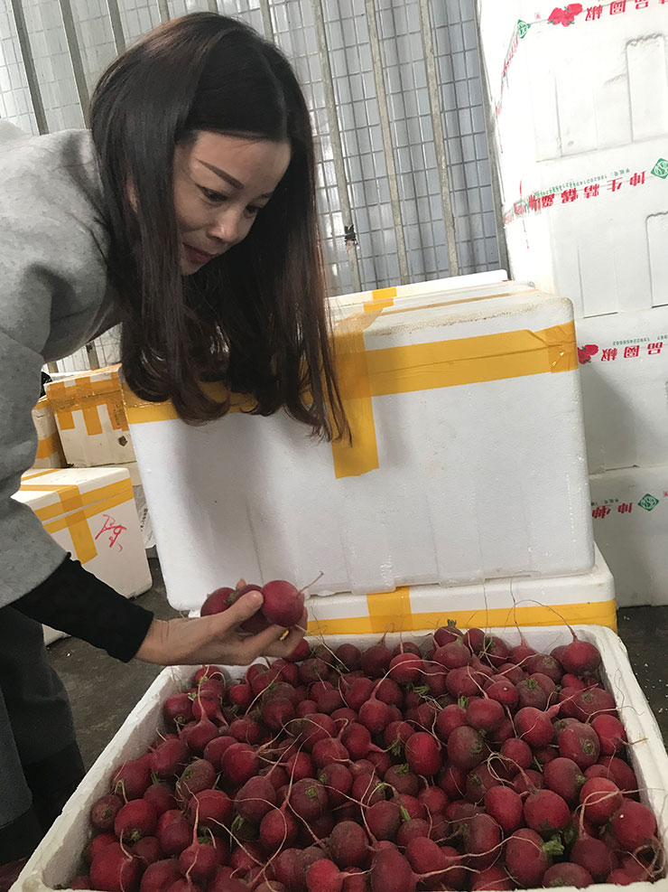 腾博会官网 - 诚信为本,专业服务!