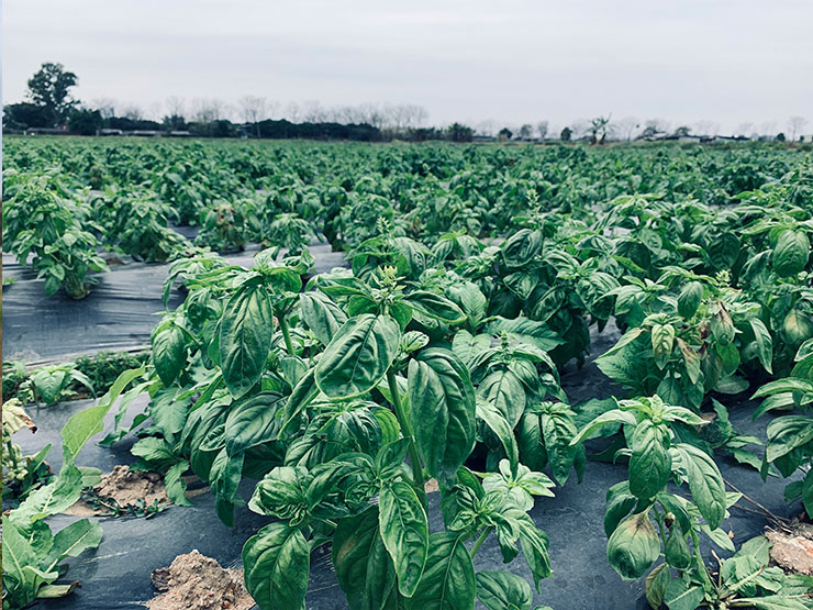 腾博会官网 - 诚信为本,专业服务!