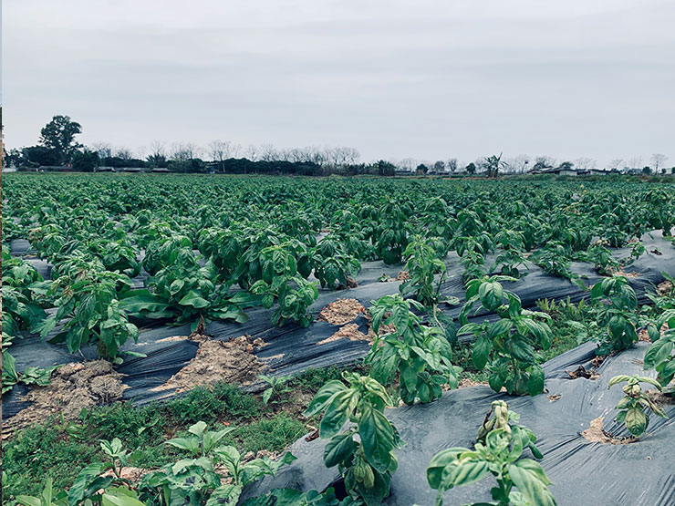 腾博会官网 - 诚信为本,专业服务!