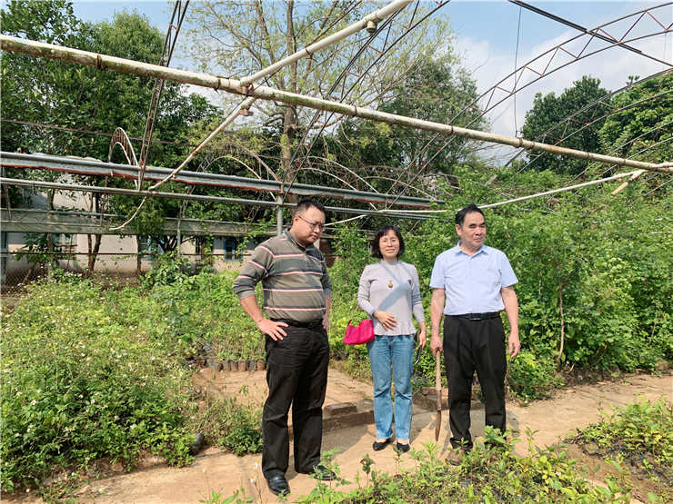 腾博会官网 - 诚信为本,专业服务!