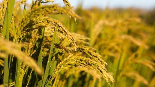 腾博会官网 - 诚信为本,专业服务!