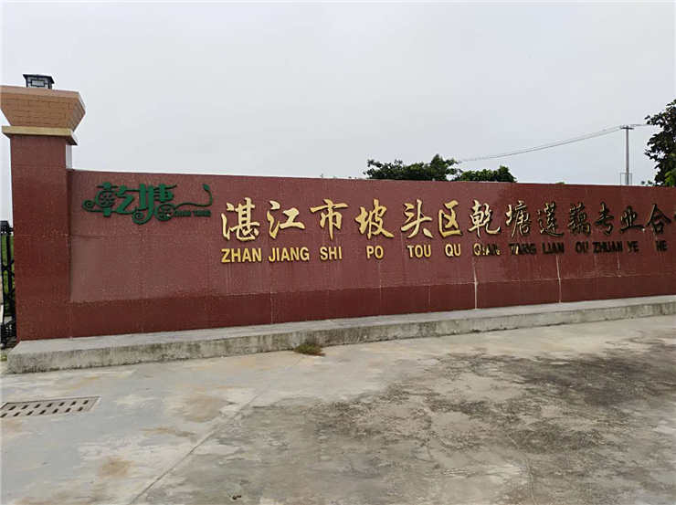 腾博会官网 - 诚信为本,专业服务!