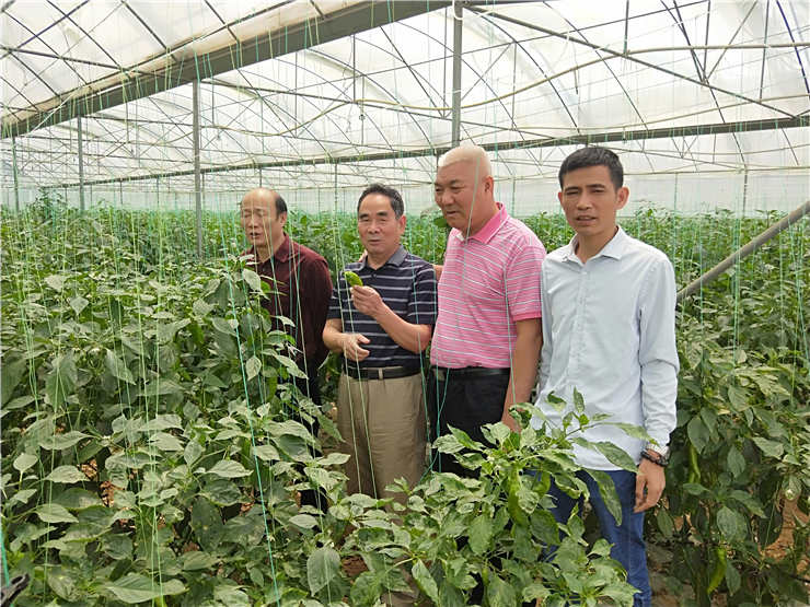 腾博会官网 - 诚信为本,专业服务!