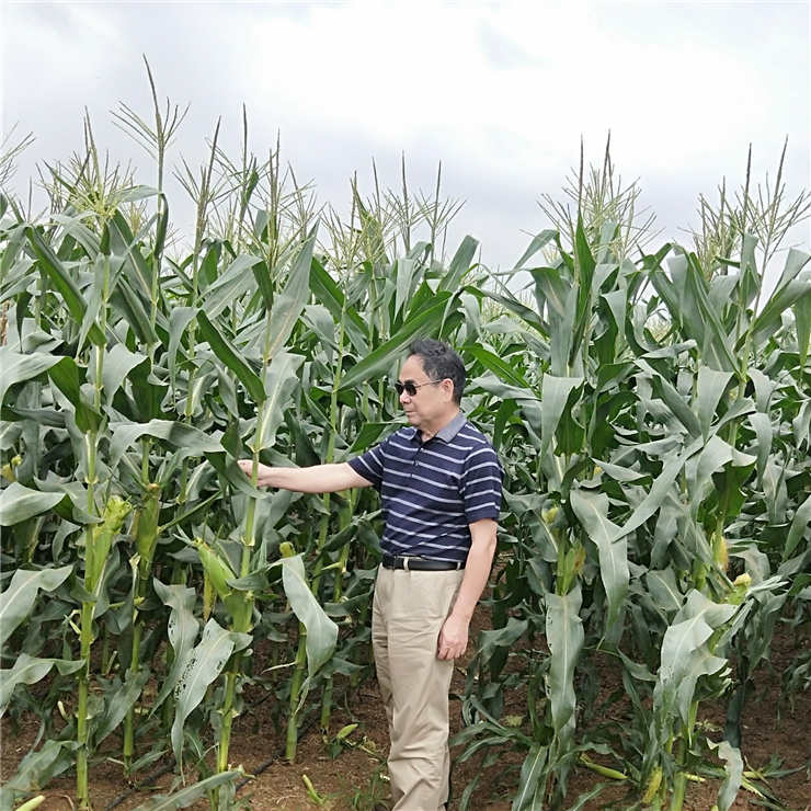 腾博会官网 - 诚信为本,专业服务!