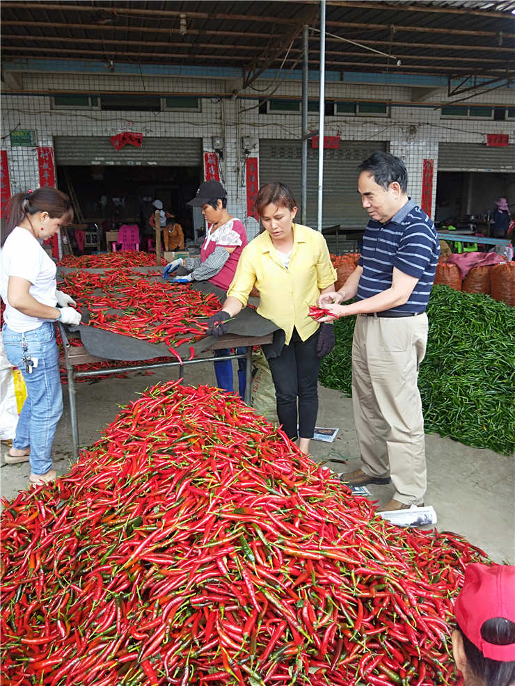 腾博会官网 - 诚信为本,专业服务!