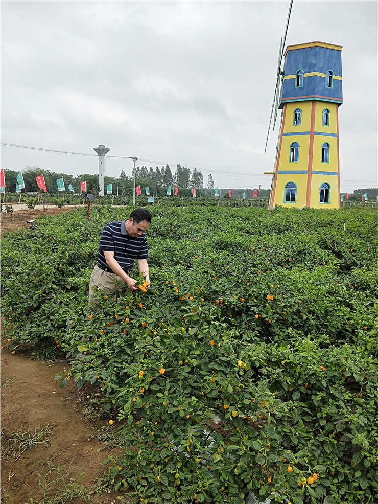 腾博会官网 - 诚信为本,专业服务!