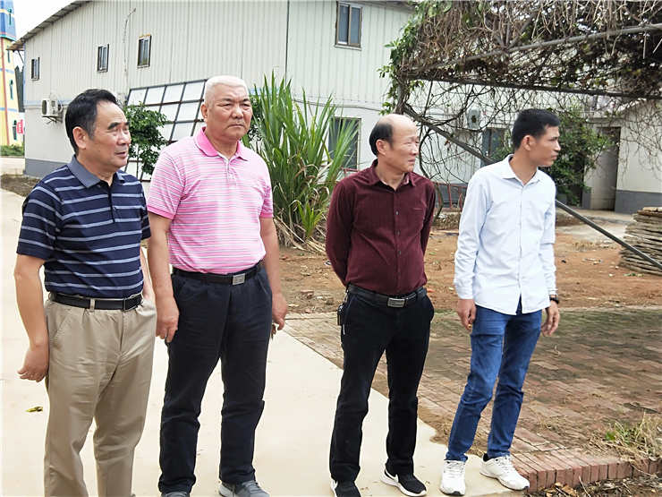 腾博会官网 - 诚信为本,专业服务!