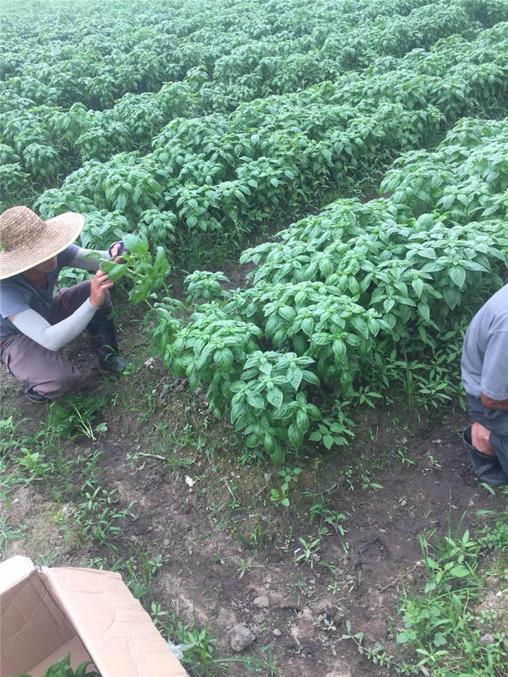 腾博会官网 - 诚信为本,专业服务!