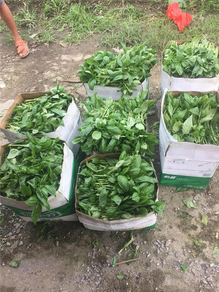 腾博会官网 - 诚信为本,专业服务!