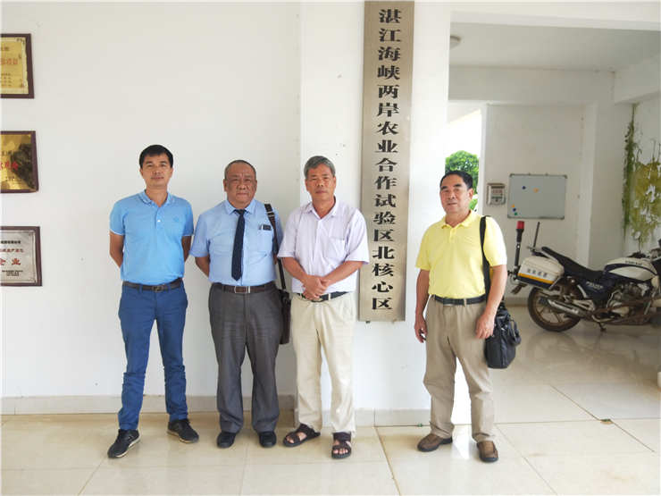 腾博会官网 - 诚信为本,专业服务!