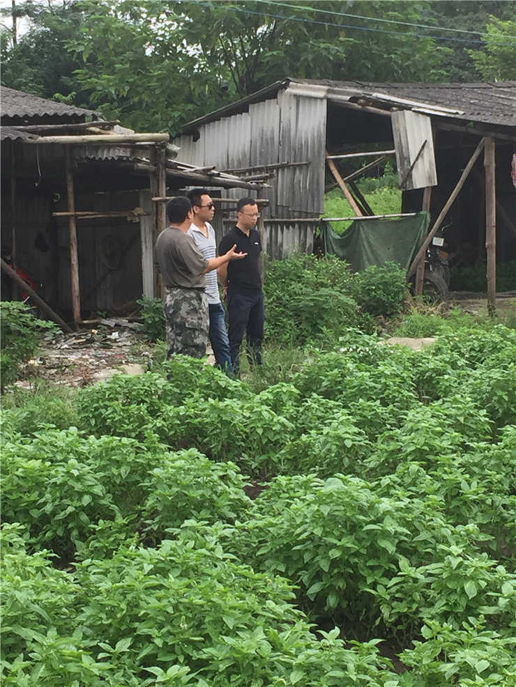 腾博会官网 - 诚信为本,专业服务!