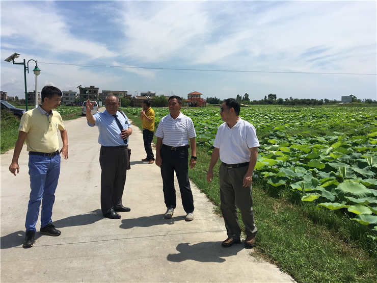 腾博会官网 - 诚信为本,专业服务!