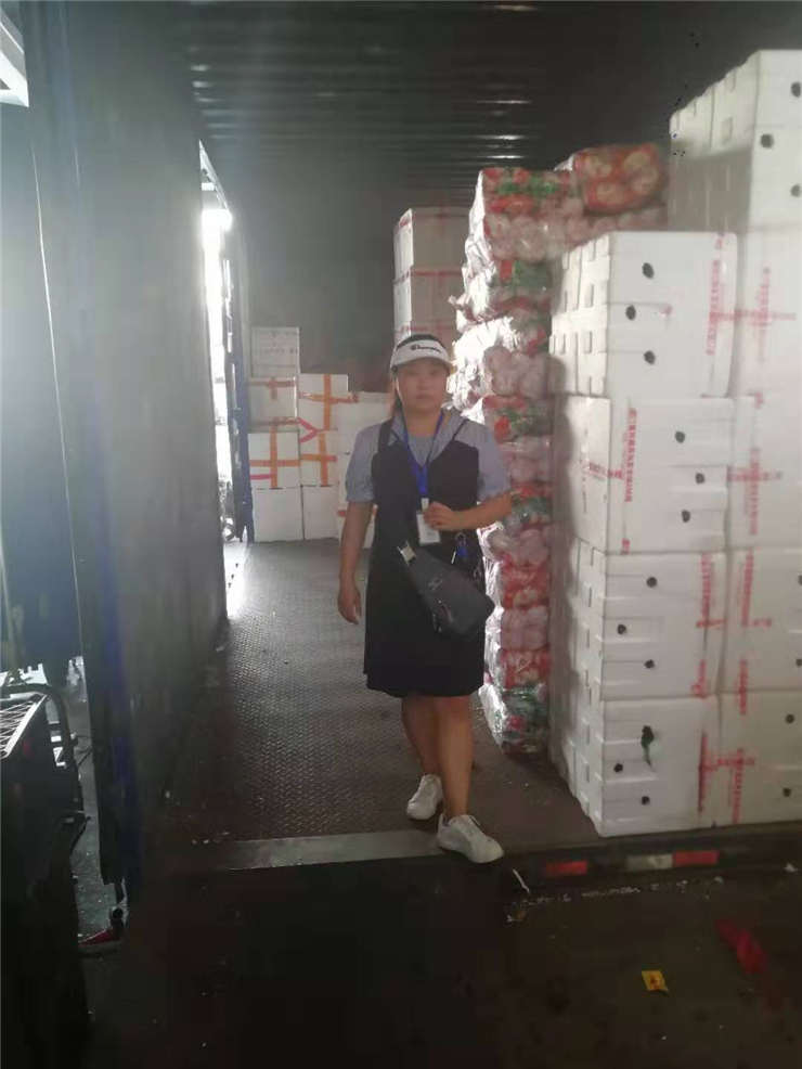 腾博会官网 - 诚信为本,专业服务!