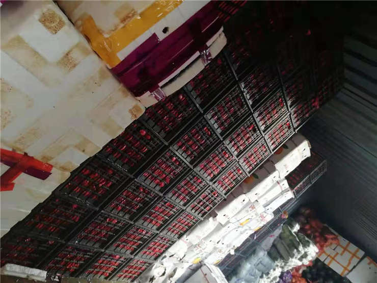 腾博会官网 - 诚信为本,专业服务!