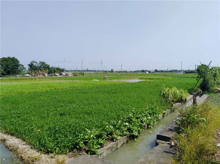 腾博会官网 - 诚信为本,专业服务!