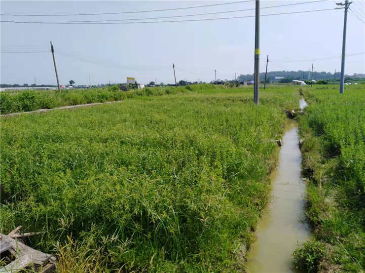 腾博会官网 - 诚信为本,专业服务!