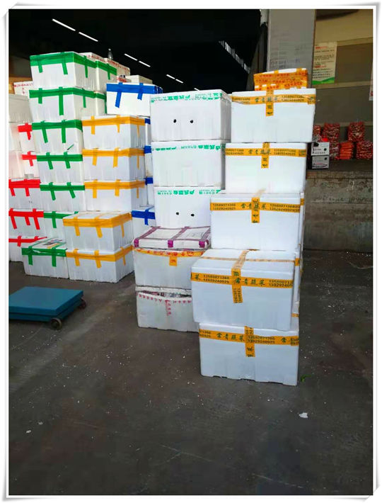 腾博会官网 - 诚信为本,专业服务!