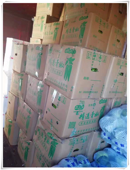 腾博会官网 - 诚信为本,专业服务!