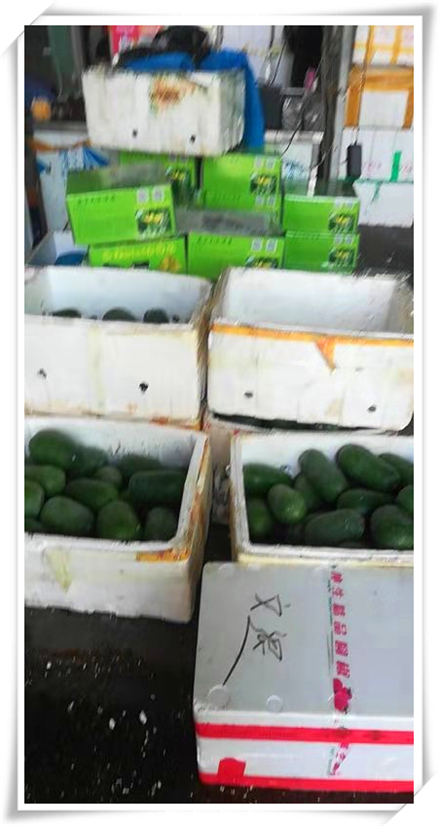 腾博会官网 - 诚信为本,专业服务!