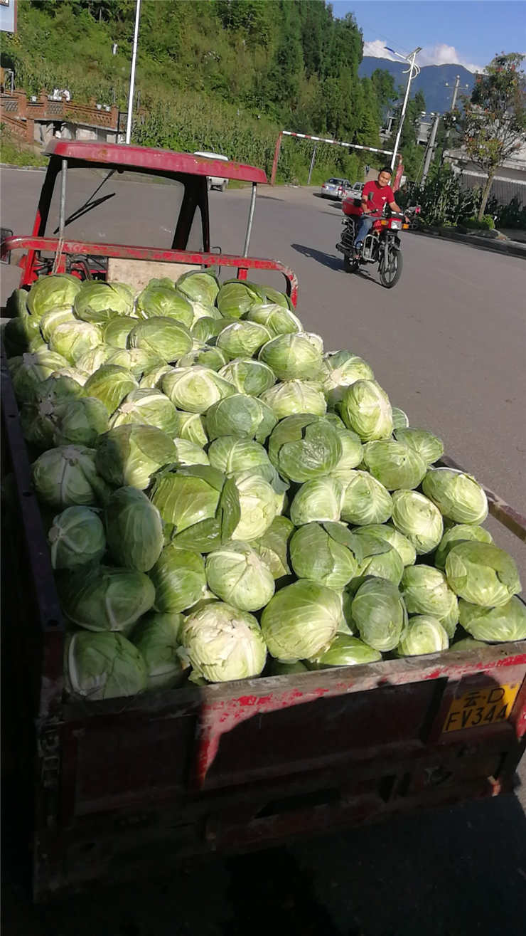 腾博会官网 - 诚信为本,专业服务!