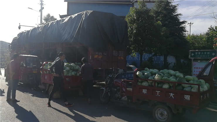 腾博会官网 - 诚信为本,专业服务!