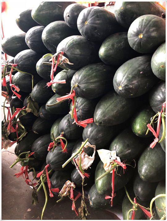 腾博会官网 - 诚信为本,专业服务!