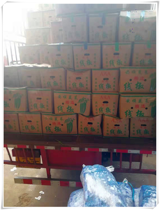 腾博会官网 - 诚信为本,专业服务!