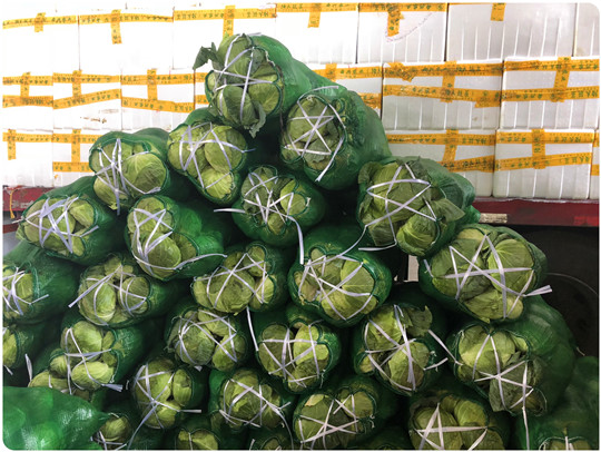 腾博会官网 - 诚信为本,专业服务!