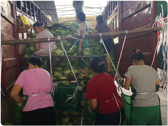 腾博会官网 - 诚信为本,专业服务!