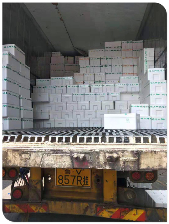 腾博会官网 - 诚信为本,专业服务!