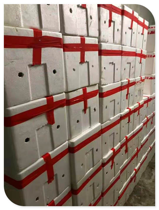 腾博会官网 - 诚信为本,专业服务!