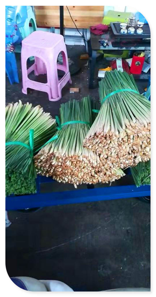 腾博会官网 - 诚信为本,专业服务!