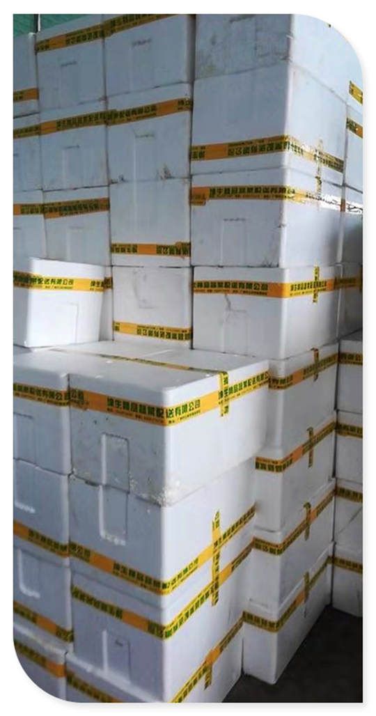 腾博会官网 - 诚信为本,专业服务!