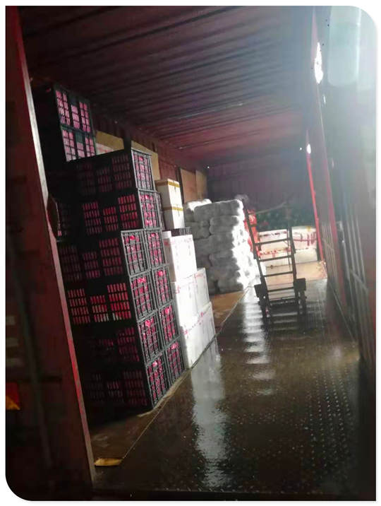 腾博会官网 - 诚信为本,专业服务!